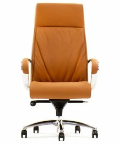 Coupon 👍 Zuri Furniture Forbes Modern Fully Reclining Adjustable Executive Chair Tan Top Grain Leather 🔥